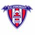FC Viikingit badge