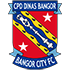 Bangor City badge