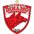 Dinamo Bucuresti badge